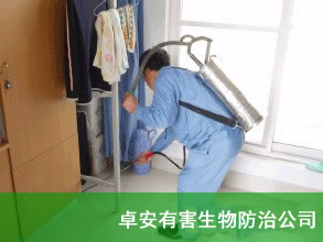 滅蟑螂,殺蟑螂,虹舟殺蟑螂公司