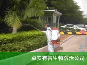 殺蚊蟲|滅蚊蟲|蚊子防治-虹舟殺蟲除蟲公司